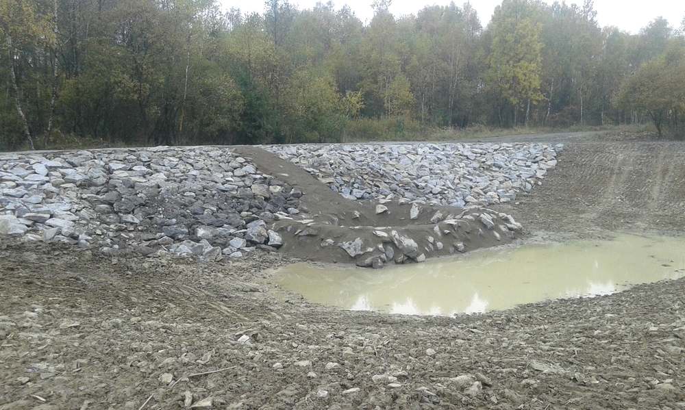 Lesní cesty a náletové dřeviny
